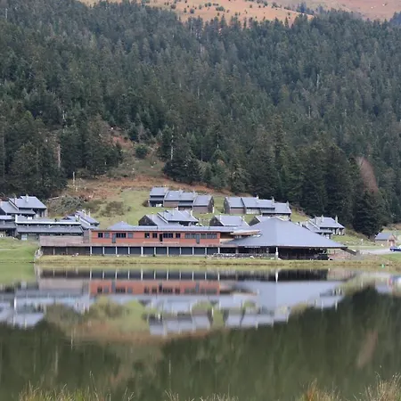 De Payolle Кампан