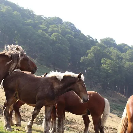 De Payolle Lägenhet