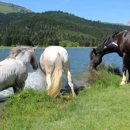 De Payolle Lejlighed